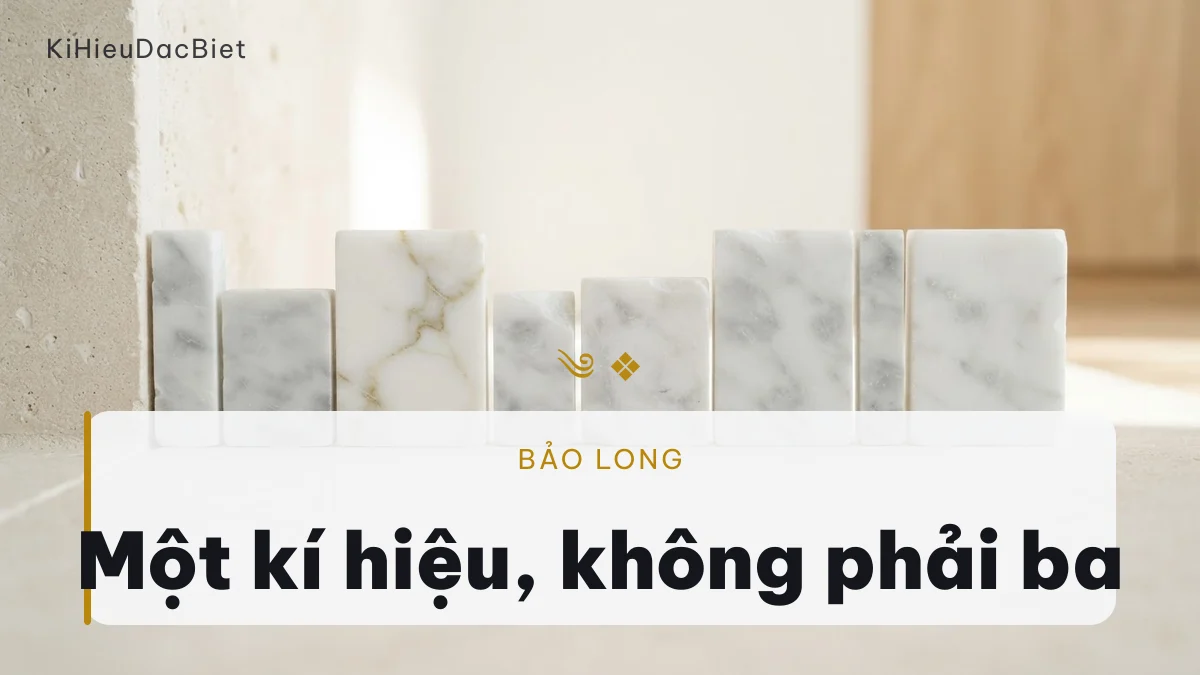 Nguyên tắc gắn một kí hiệu cho tên Bảo Long