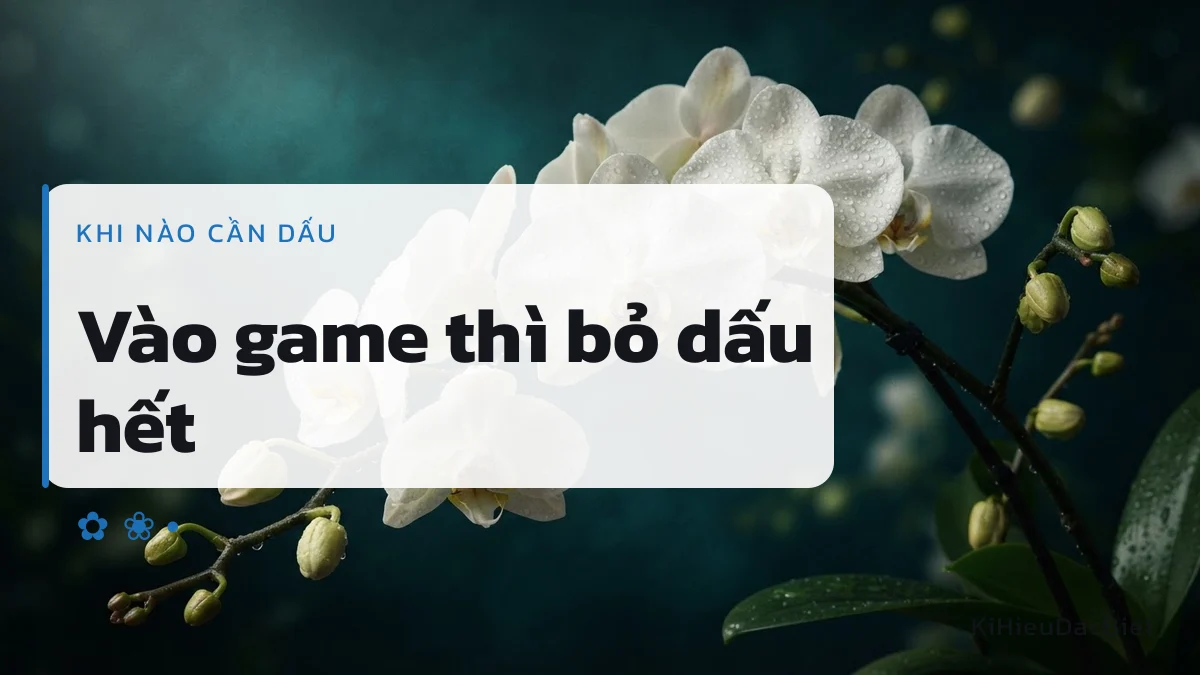 Dấu chỉ quan trọng ở hồ sơ và ô tìm bạn