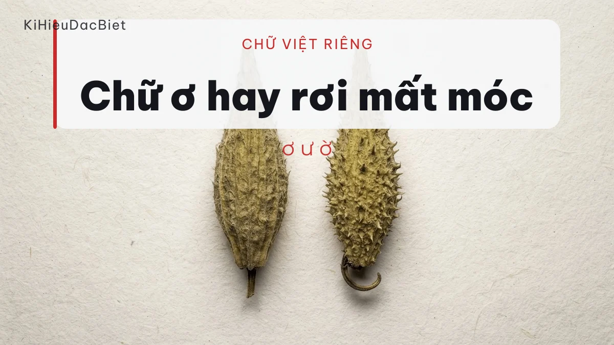 Chữ ơ và ư là chữ riêng của tiếng Việt hay bị font bỏ sót
