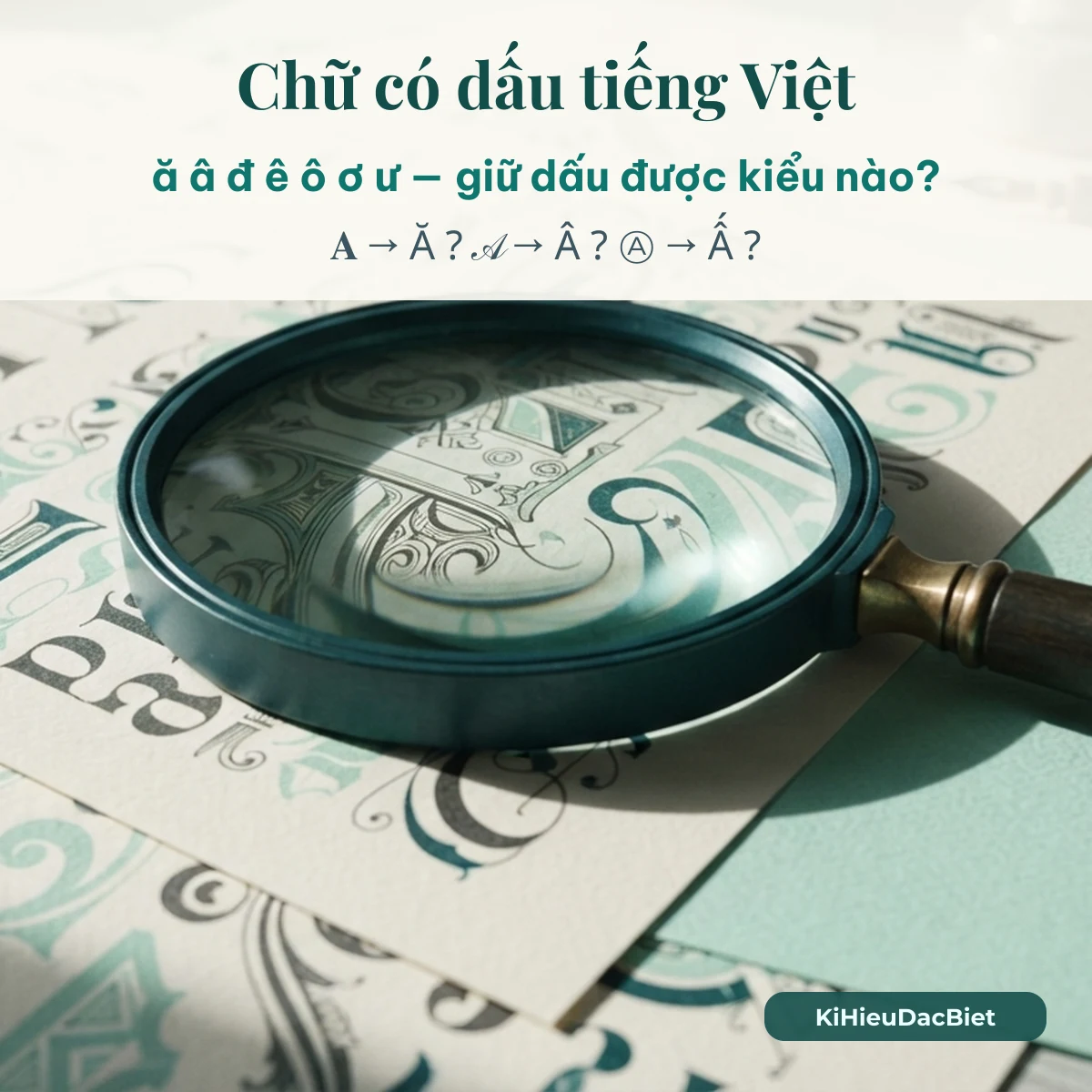 Kính lúp soi mẫu chữ cách điệu, câu hỏi chữ có dấu tiếng Việt ă â đ ê ô ơ ư giữ dấu được kiểu nào