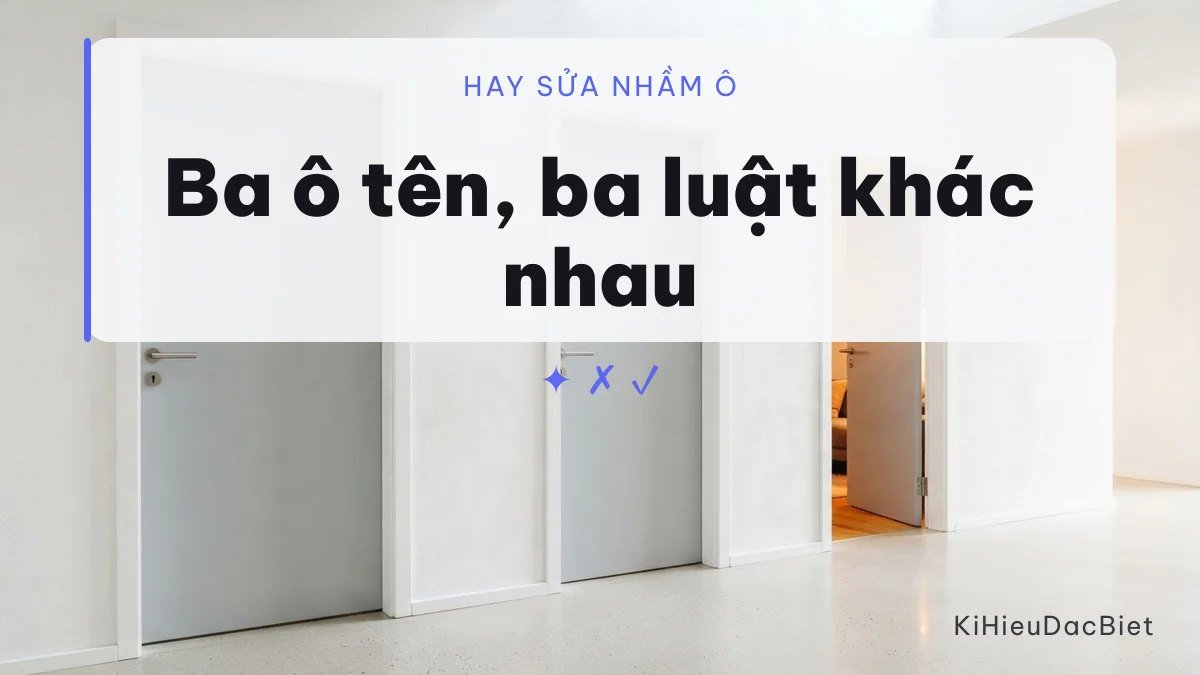 Ba ô tên khác nhau của Discord và ô nào nhận kí tự đặc biệt