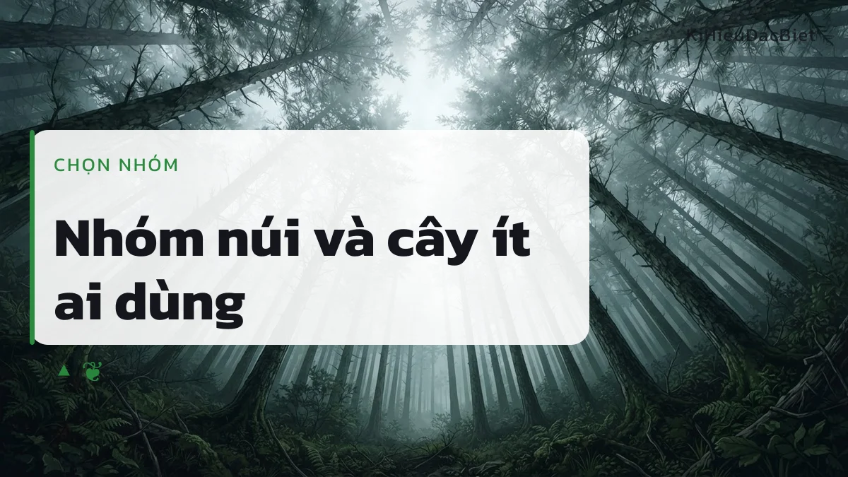 Nhóm kí hiệu núi và cây hợp với sắc thái vững chãi của tên