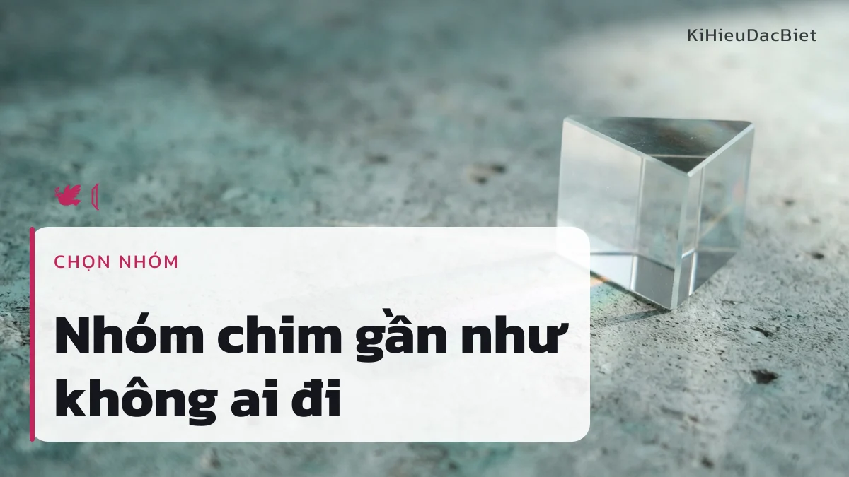 Nhóm kí hiệu chim là hướng ít trùng cho tên Hồng Anh