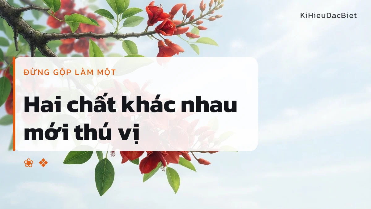 Tương phản chất liệu là điểm mạnh của tên Ngọc Mai