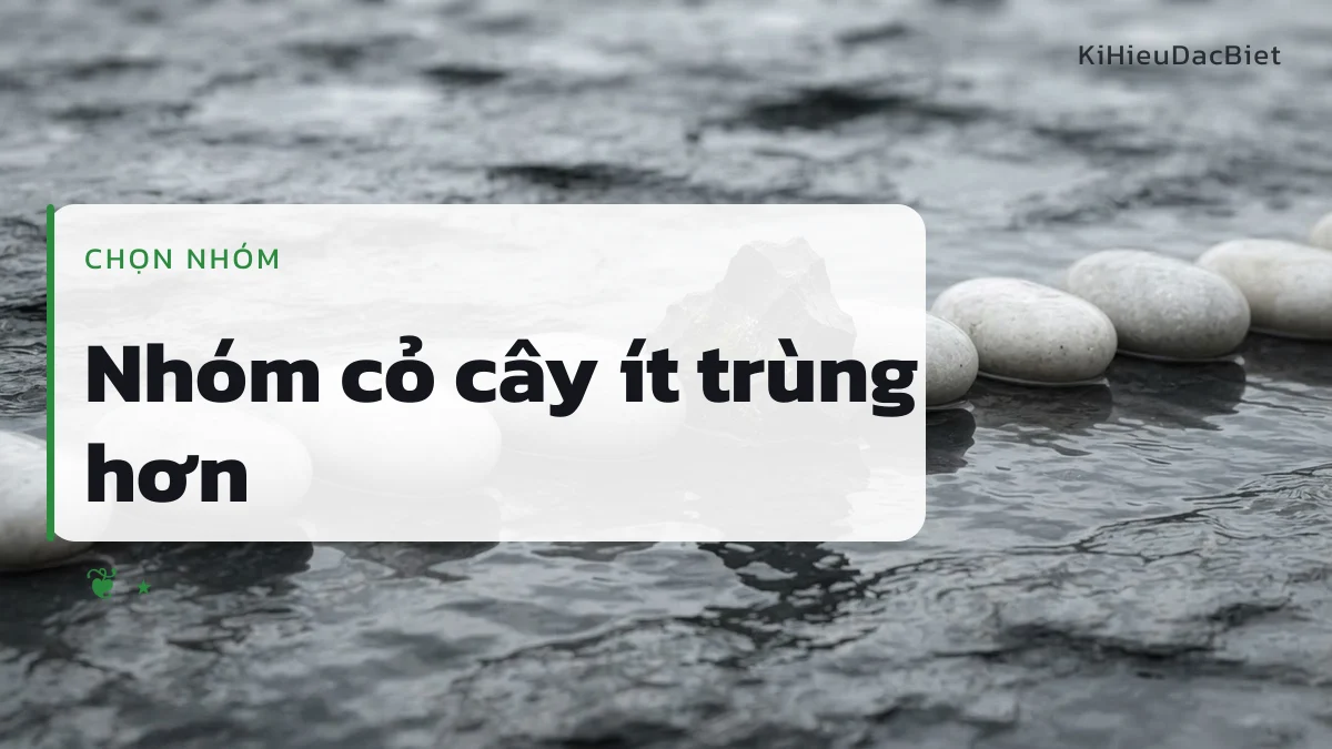 Nhóm kí hiệu cỏ cây là lựa chọn ít trùng cho tên Thảo Ly