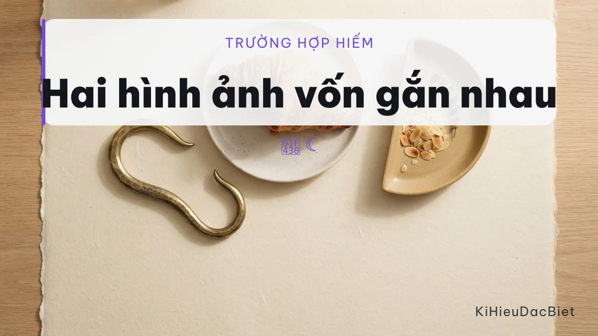Thỏ và mặt trăng là một cặp hình ảnh gắn liền